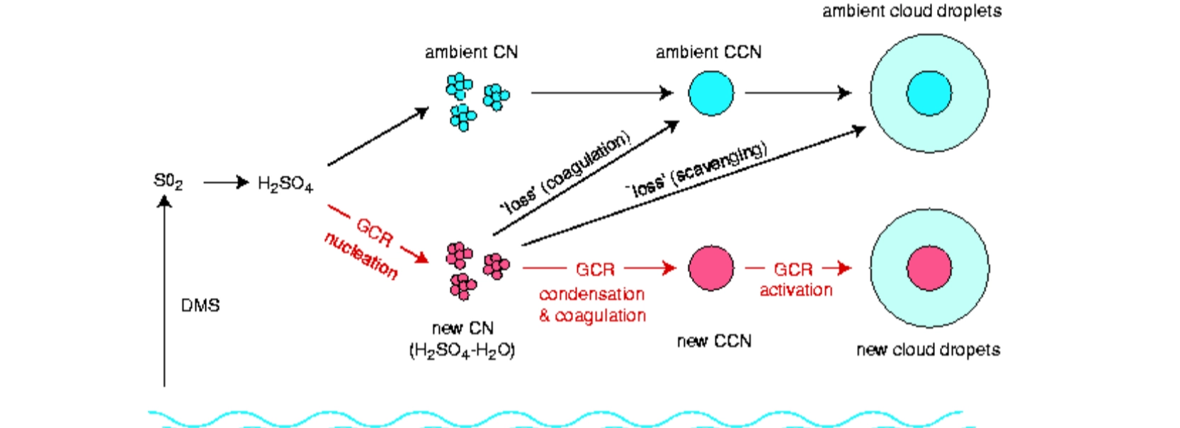Diagrama CCN growth