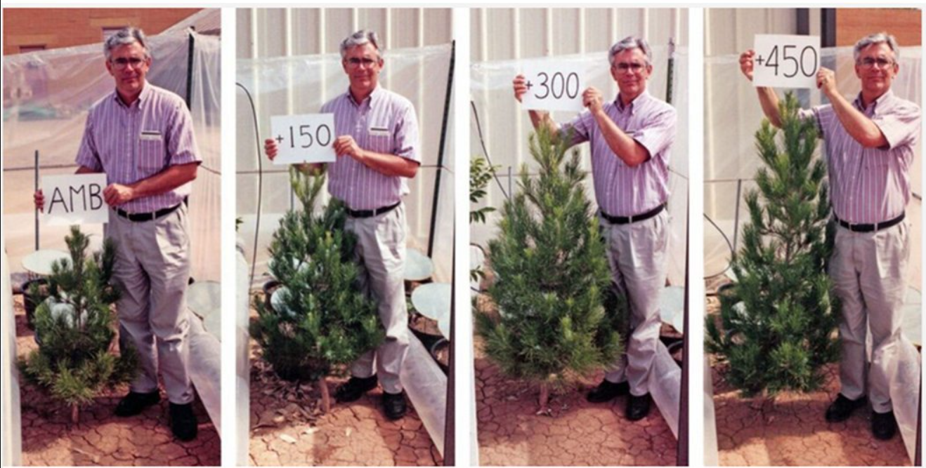 CO2 e greening global